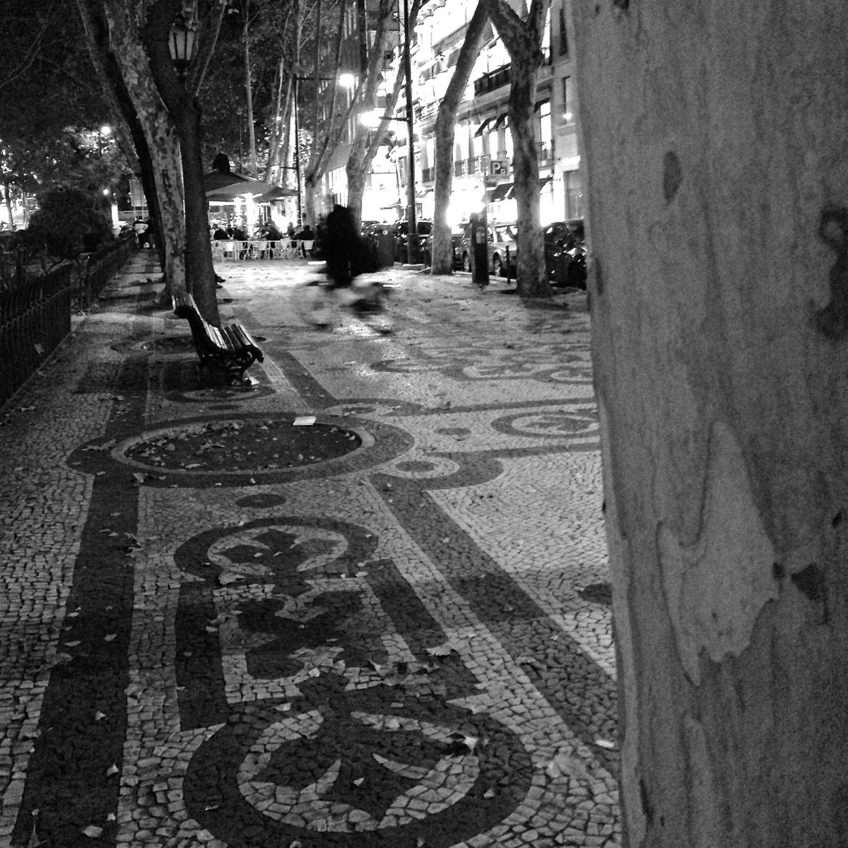 Die Avenida da Liberdade des nachts im Príncipe Real in Lissabon.