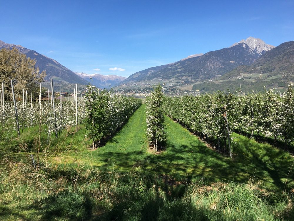 Lana – Tag 2: Apfelplantagen und Etschufer
