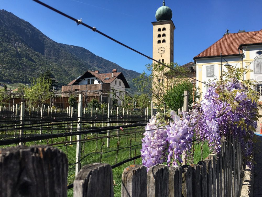 Viele fähige Hände waren hier am Werk: Die Haupt-Pfarrkirche und Klosterkirche Heilig-Kreuz in Lana (Lana, Meraner Land, Südtirol, 18.04.2022).
