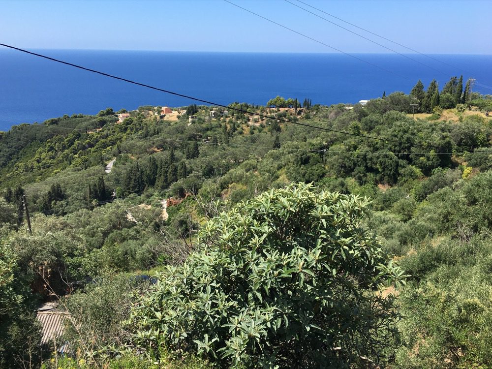 Ein Blick auf die Westküste der griechischen Insel Korfu vom Bergdorf Pelekas (Korfu, Ionische Inseln, Griechenland, 15.08.2022). 