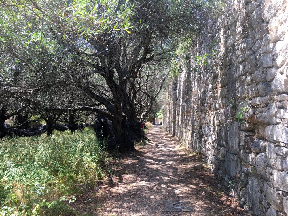 Die Burgruine in der Küstenstadt Kassiopi im Norden der Ostküste von Korfu (Korfu, Ionische Inseln, Griechenland, 17.08.2022).