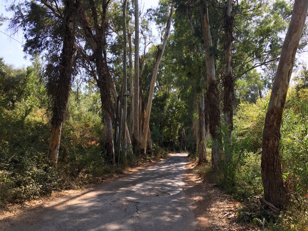Die Straße inmitten der besagten Pampa, die Teil des Weges vom Campingplatz Dionysus zum Dafnila Beach ist (Korfu, Ionische Inseln, Griechenland, 19.08.2022).