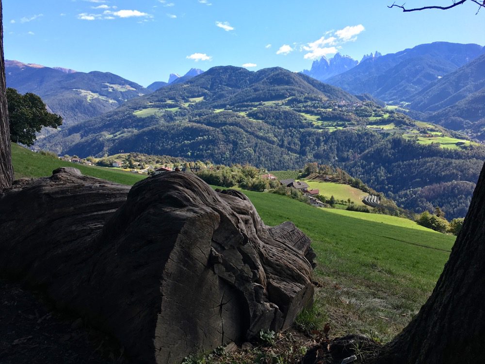 Bei dieser Szenerie auf meinem Weg von Feldthurns nach Klausen fällt mir nichts mehr ein. Es passt einfach alles (zusammen) (Brixen, Eisacktaltal, Südtirol, 02.10.2022).