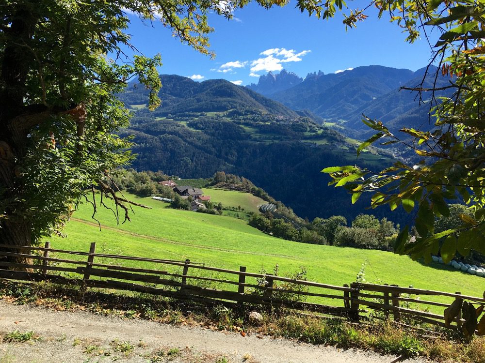 Bei dieser Szenerie auf meinem Weg von Feldthurns nach Klausen fällt mir nichts mehr ein. Es passt einfach alles (zusammen) (Brixen, Eisacktaltal, Südtirol, 02.10.2022).